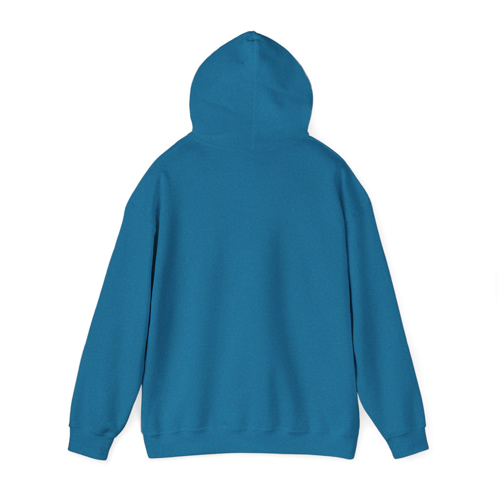 Saved by Grace Hoodie