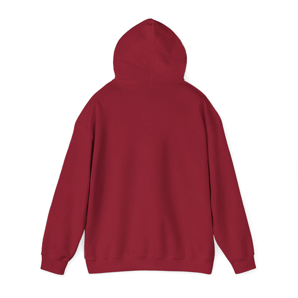 Saved by Grace Hoodie