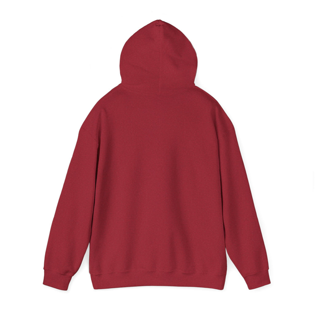 Saved by Grace Hoodie