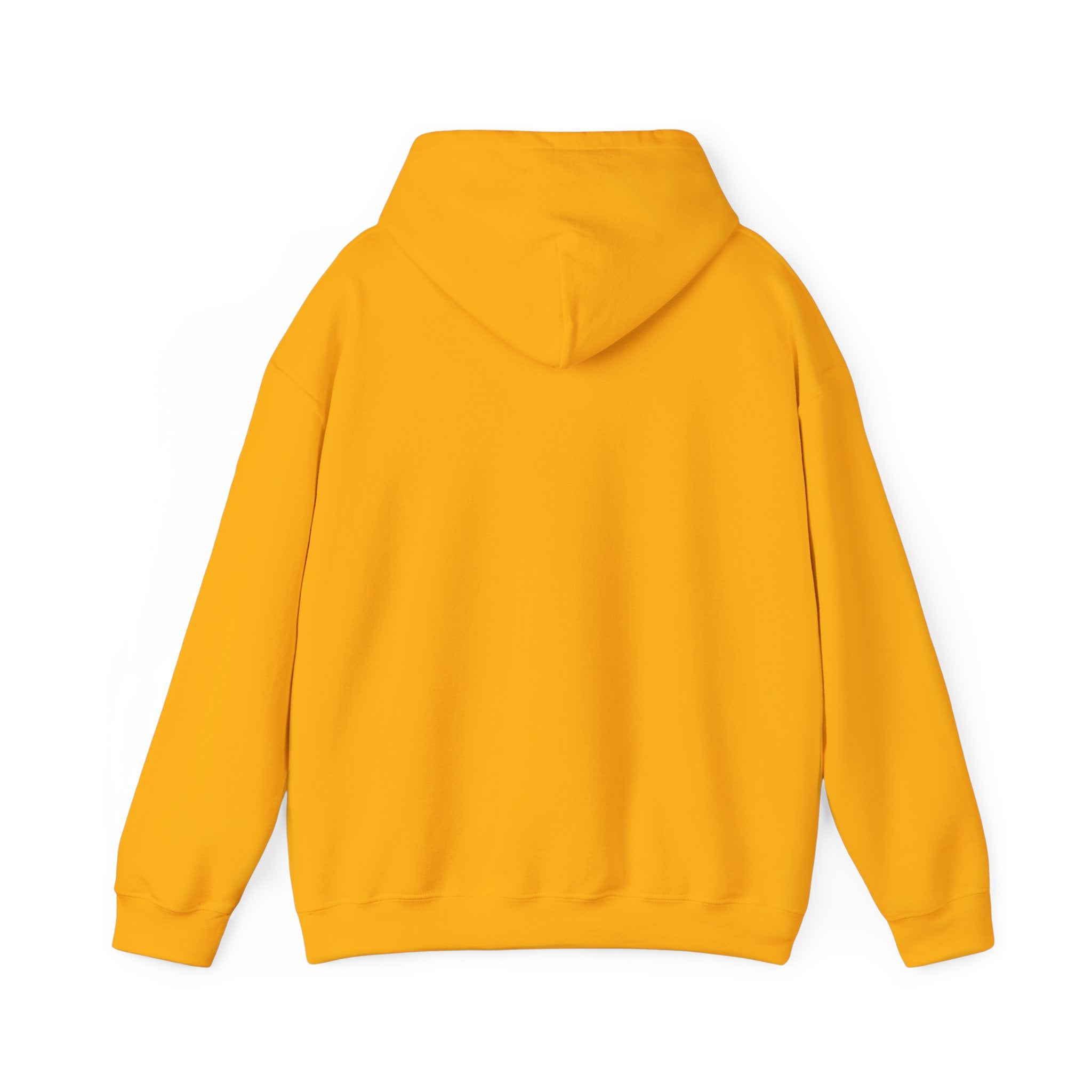 Saved by Grace Hoodie