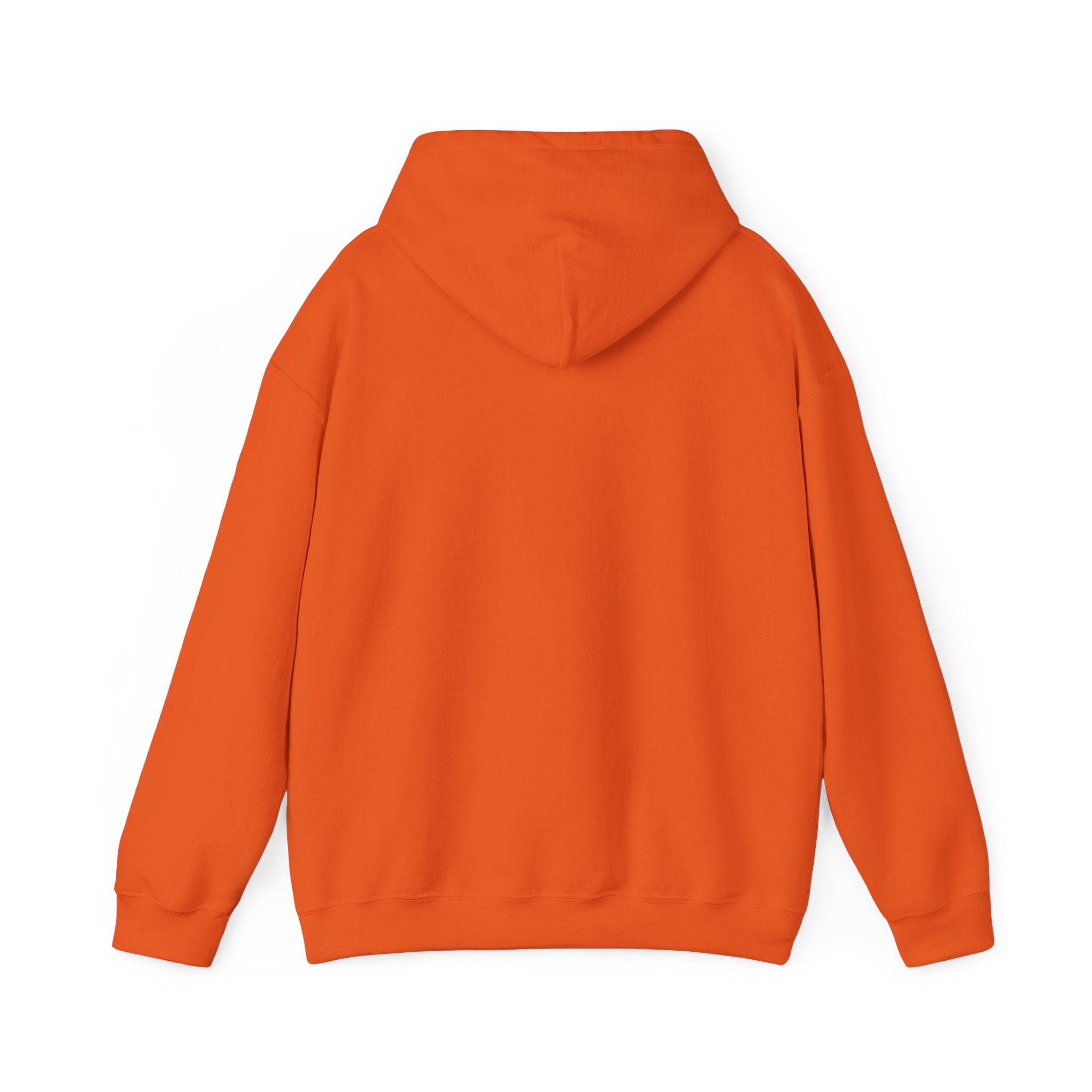 Saved by Grace Hoodie
