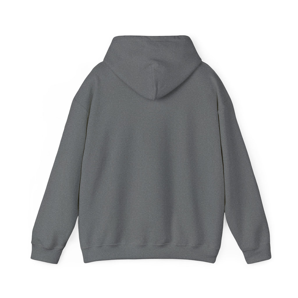Saved by Grace Hoodie