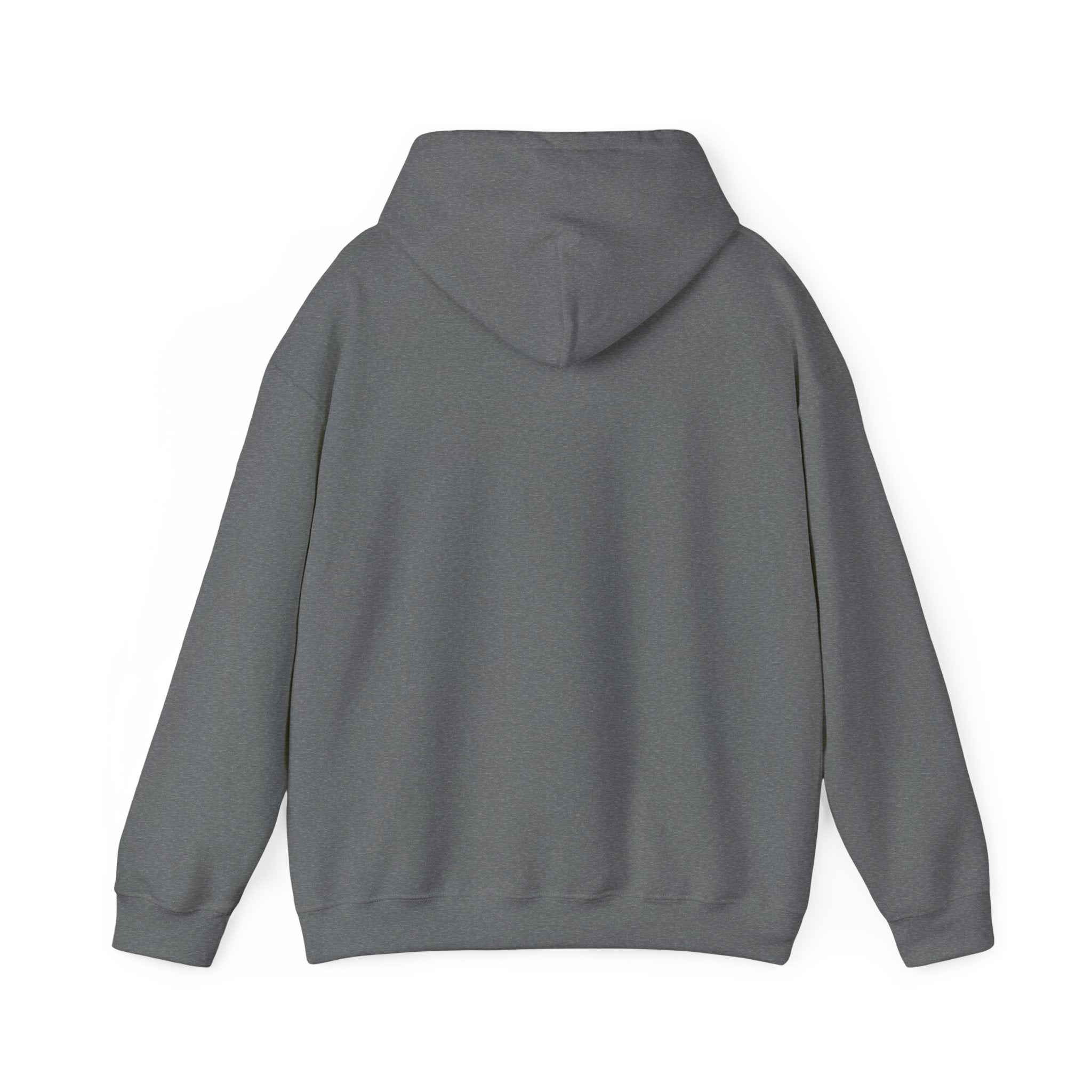 Saved by Grace Hoodie