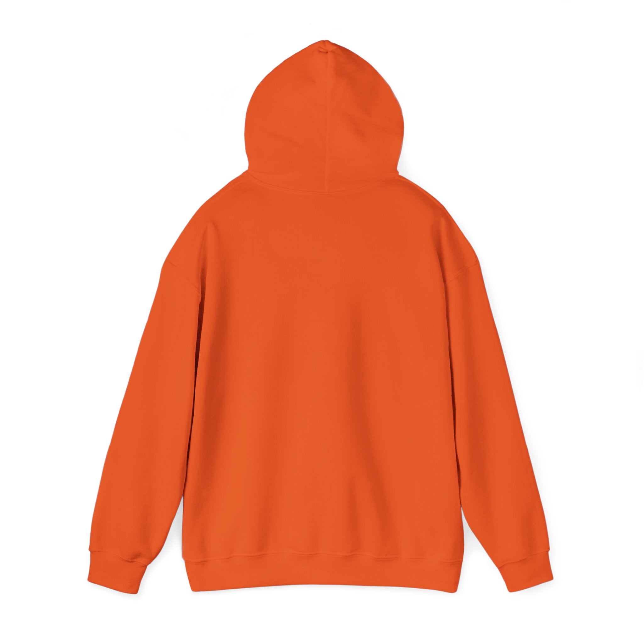 Saved by Grace Hoodie