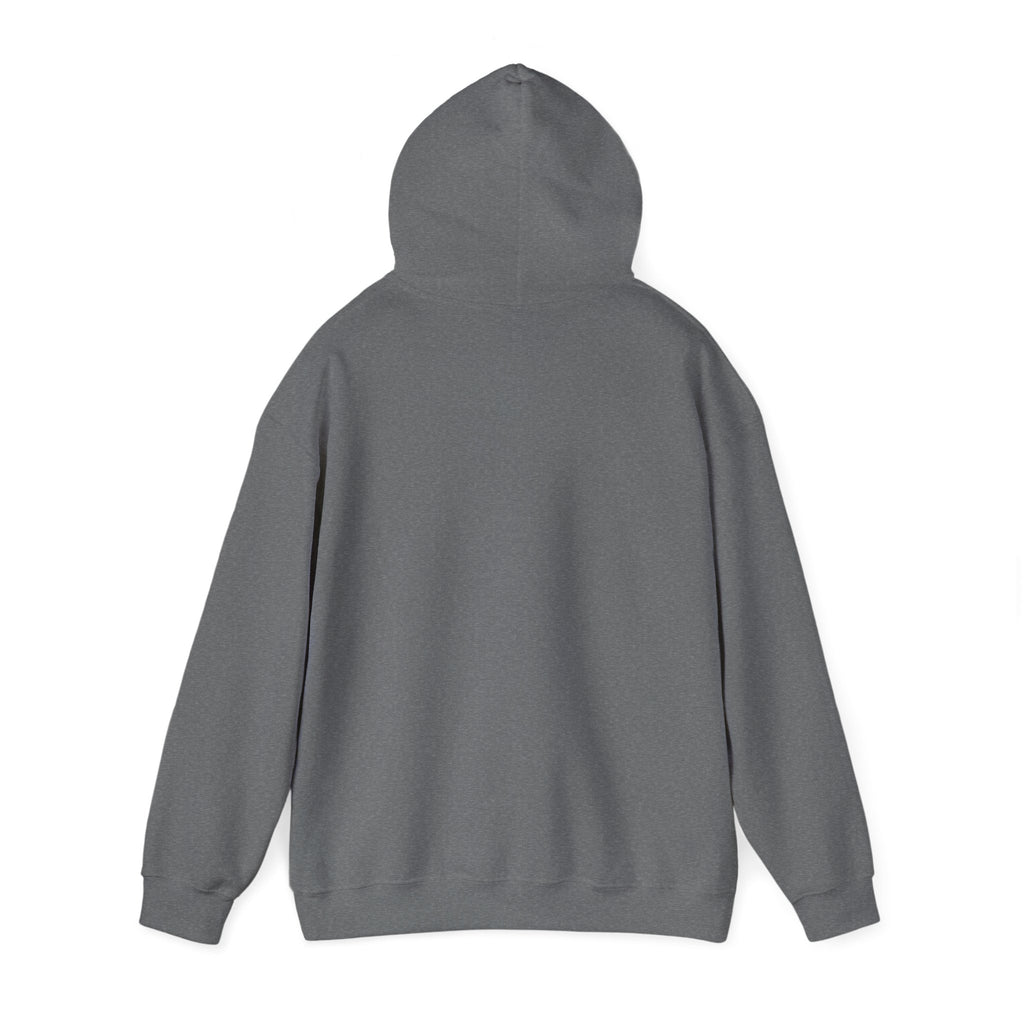 Saved by Grace Hoodie