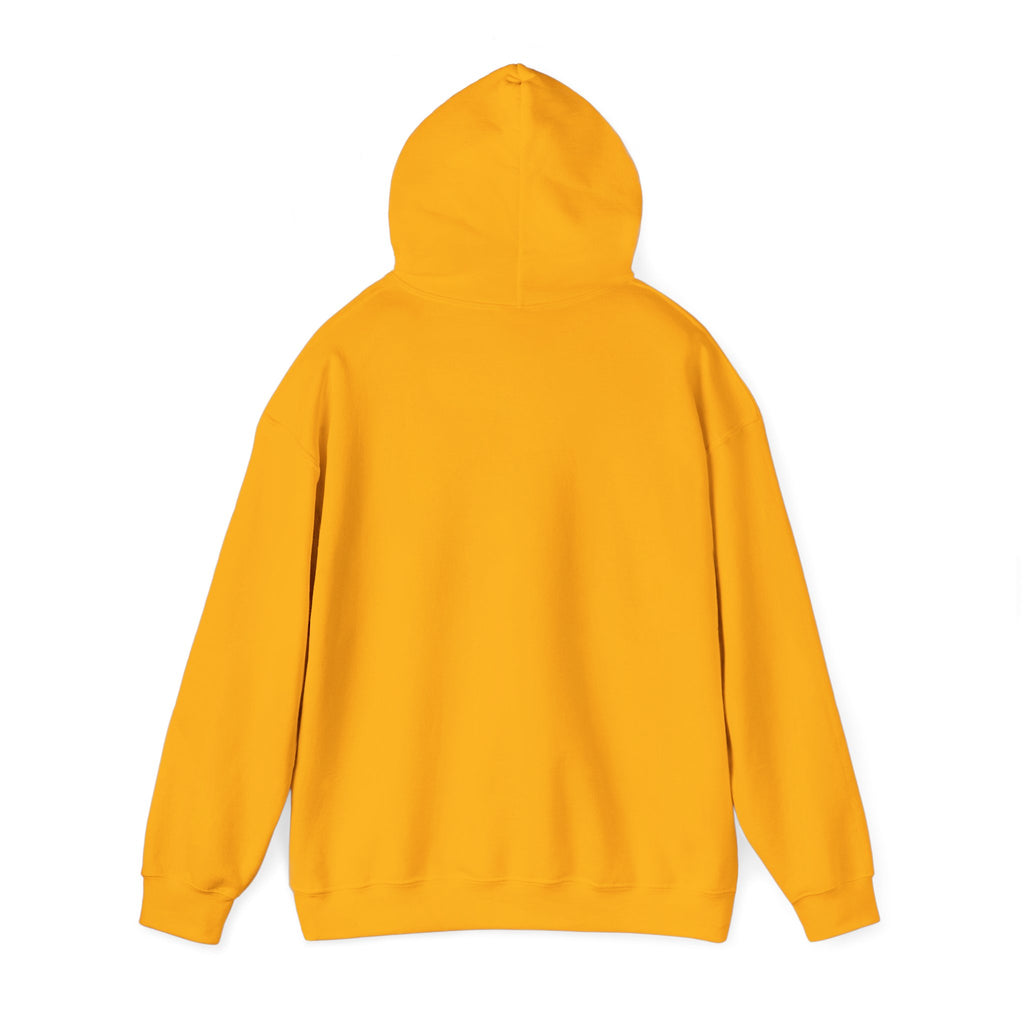 Saved by Grace Hoodie